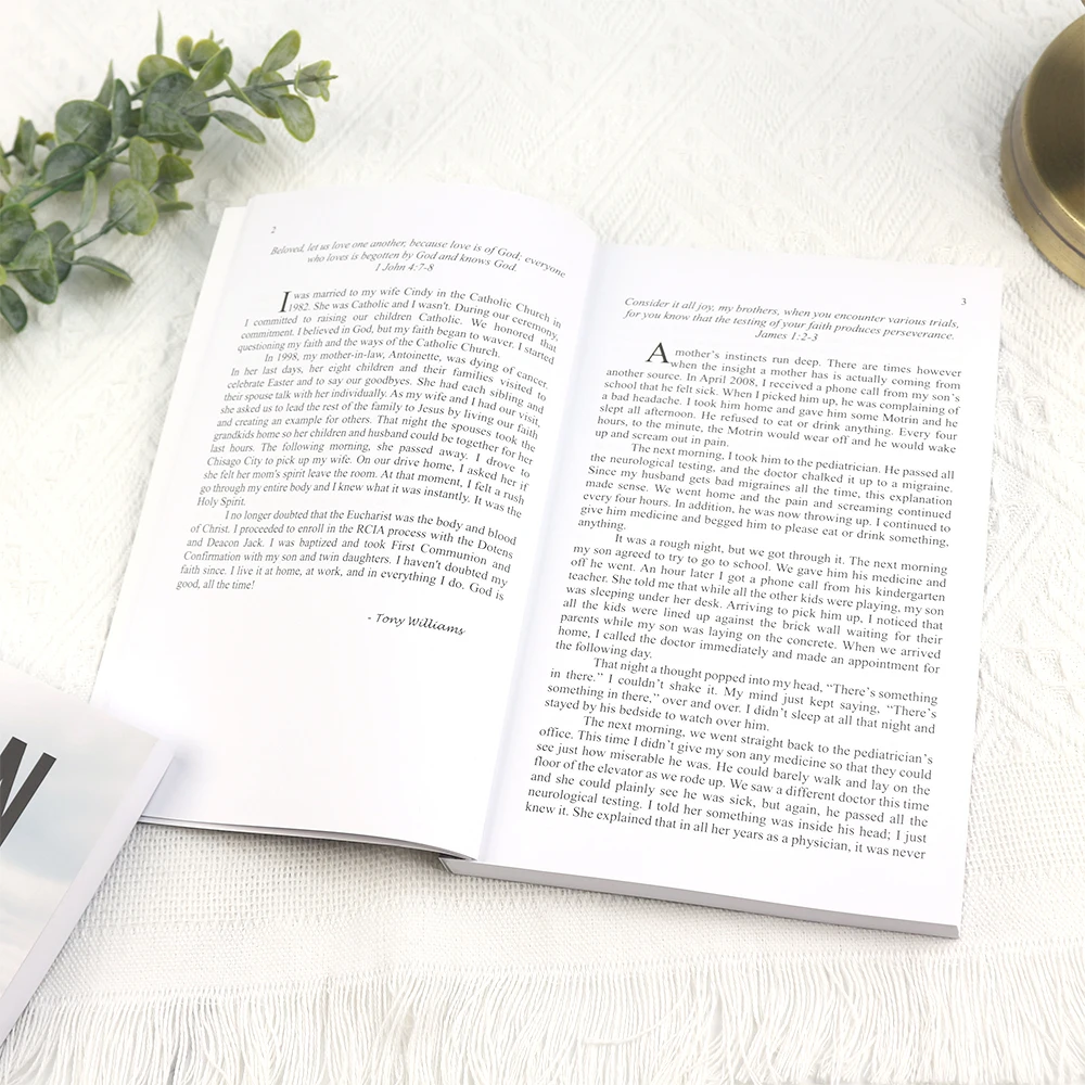 Hot sale factory price custom good quality soft cover books story book booklet printing