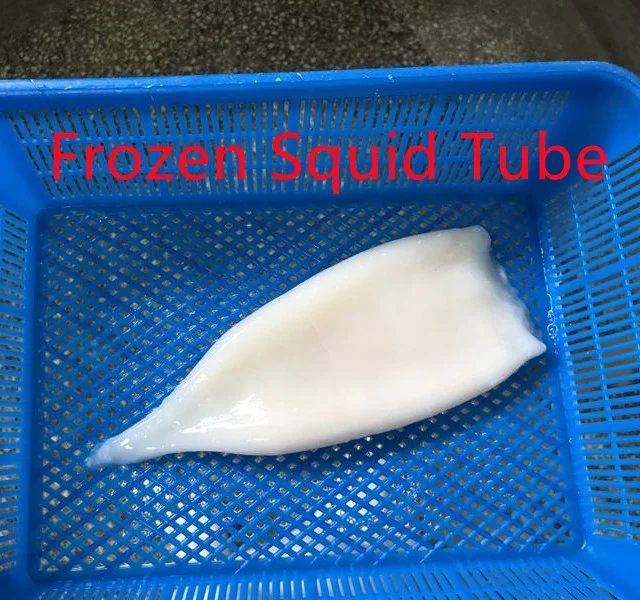 Fresh Seafood Products Frozen Squid Tube U10 70 nw Cleaned Large Calamari Tubes Iqf Todarodes Whole Headoff With 40 Glazing