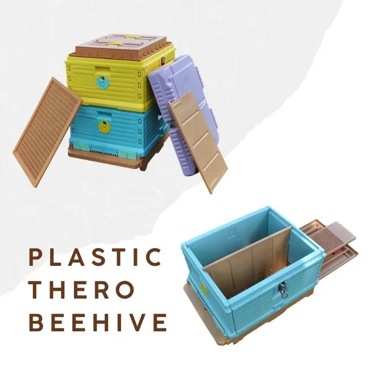 Rugged 2-layer Plastic Beehive Box Beekeeping