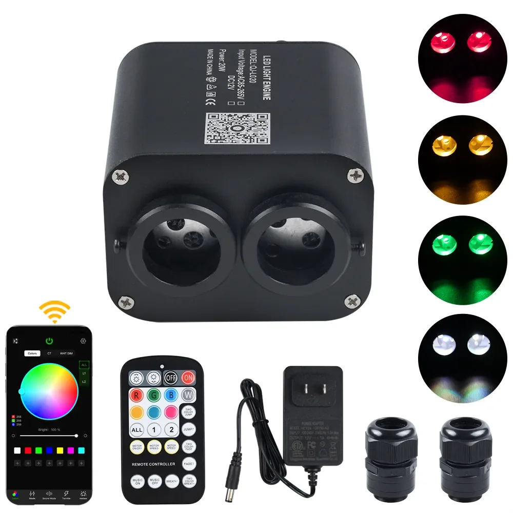 20W Bluetooth Twinkle Flashing LED Optical Fiber Star Ceiling Lamp With APP Mode Two-color Double-head Light Source