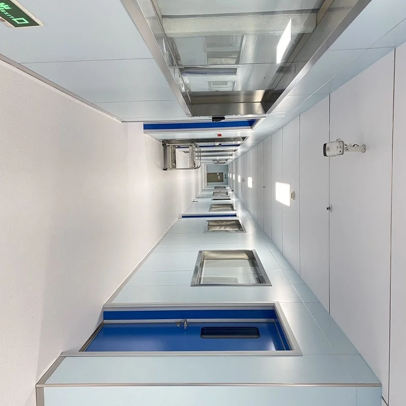 Laboratory  Wall Bench chemical resistant worktop  cold-rolled steel epoxy resin cabinet