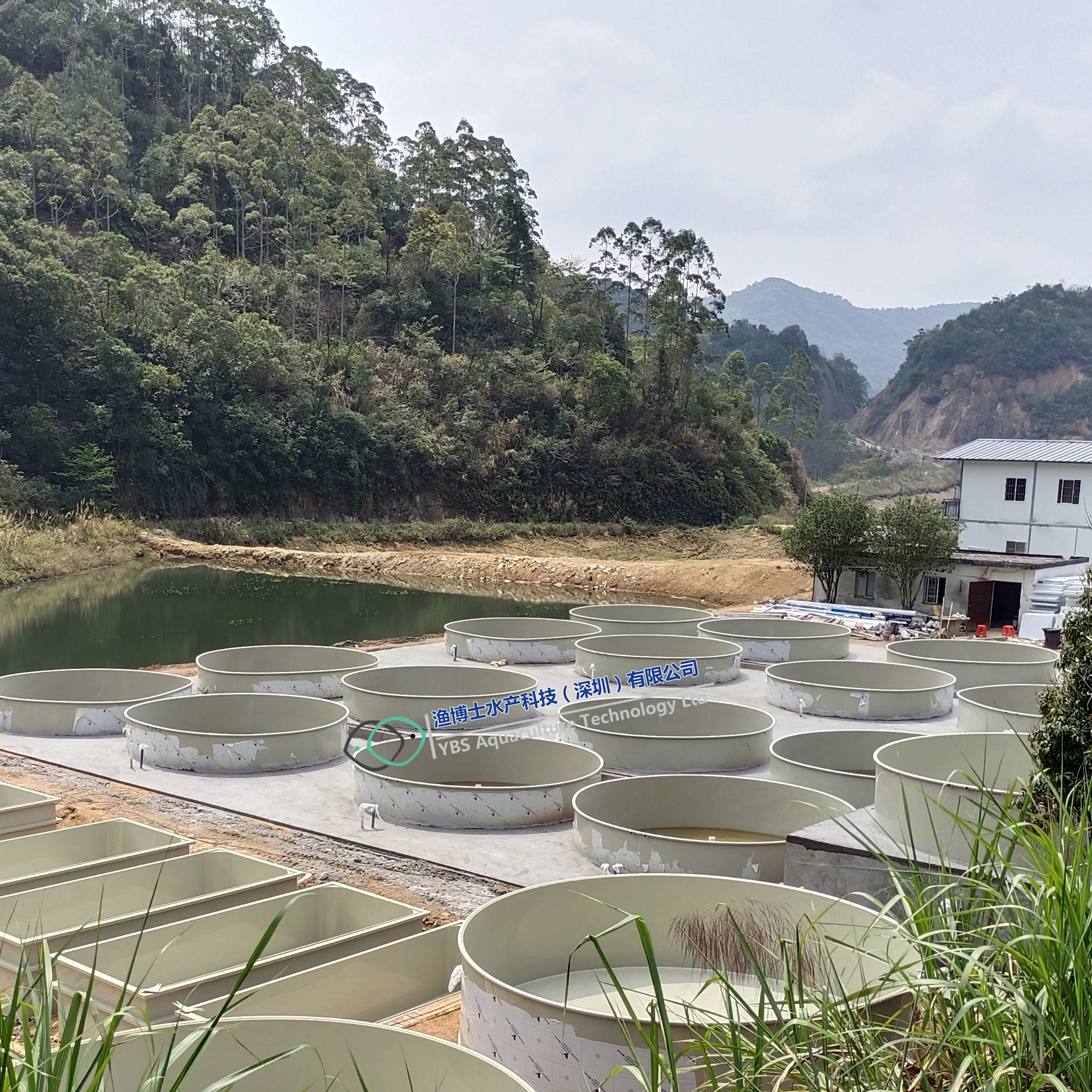 Recirculation Aquaculture Systems for shrimp increase productivity and profitability