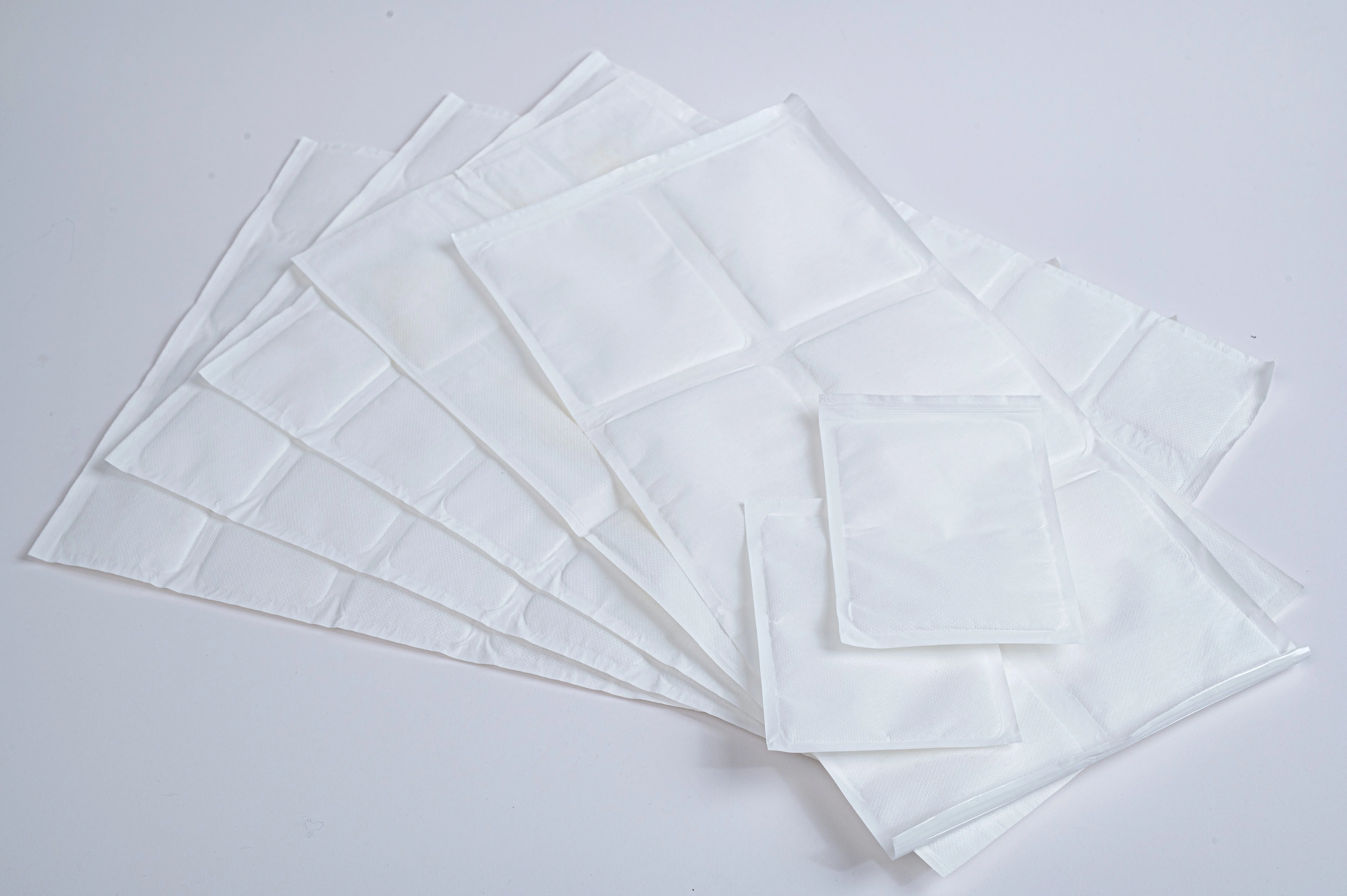 China Professional Manufacture PET+SAP+NON-WOVEN Poultry Dry Ice Bag
