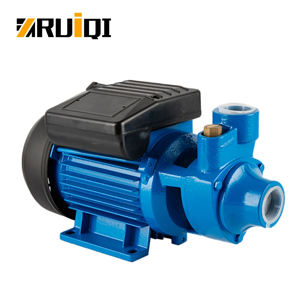 RUIQI IDB40 Water Pump 1/2HP High Flow/Head Pompa OEM Factory Price Peripheral Water Pump For House Bombas Pompe bomba de agua