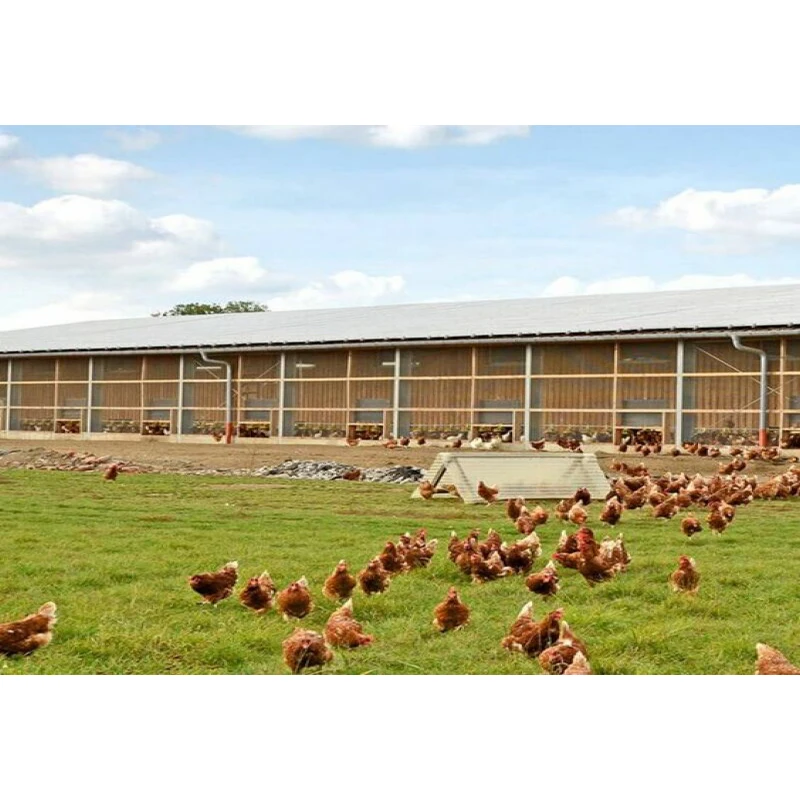 Portal framing light weight steel fabricator steel poultry house steel structure chicken egg layer building