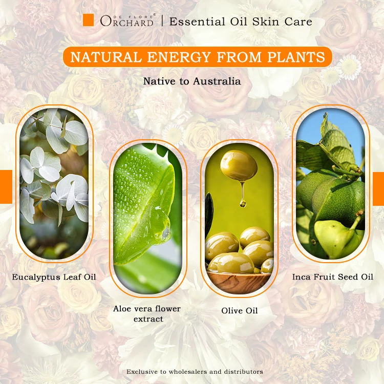 essential oil grade india mosquito repellent Improve blood circulation relieves muscle pain lemon fragrance eucalyptus oil