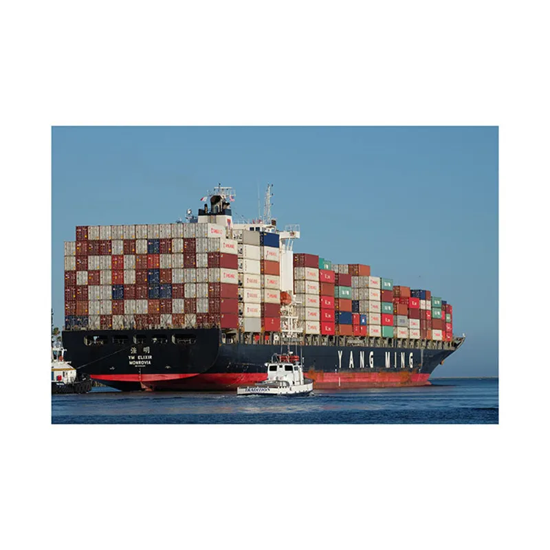 Cheap Door to Door  Service Sea Freight DHL Shipping  Forwarder China to Japan by DDP