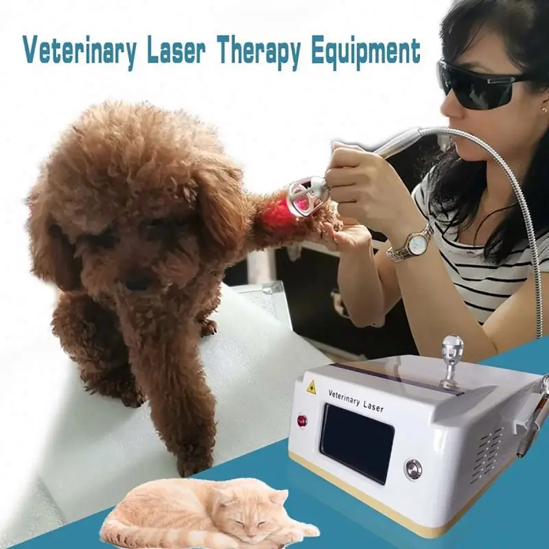 High Quality Good Price 7 Inch Screen MSLLV02 Veterinary Laser Therapy equipment