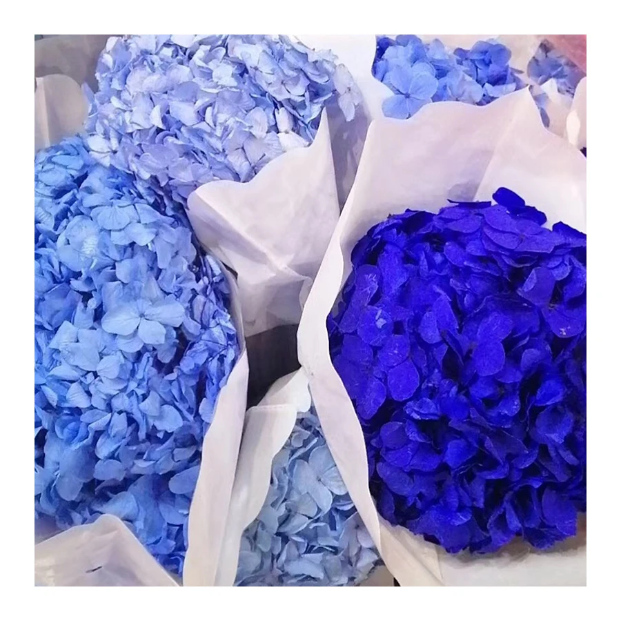 
Wholesale high quality single preserved flower hydrangea cheap dried flower for wedding decoration 