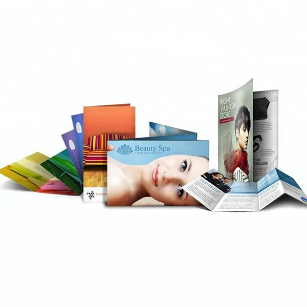 Dl Brochure Leaflet Catalogue Poster Manual Glossy Product Flyer  Insert Cards Printing Service
