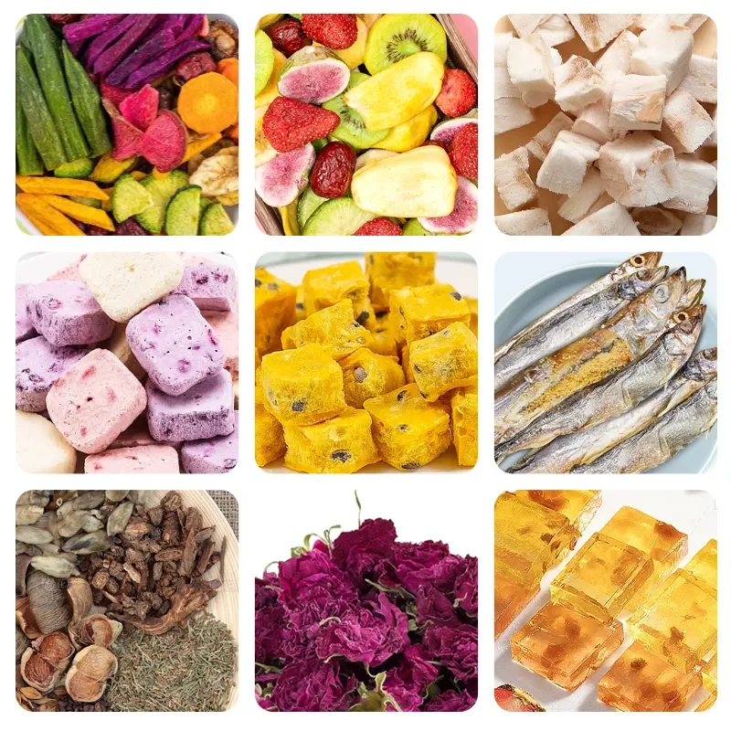 Mini Small Vegetable Fruit candy freeze dryer home Vacuum food Freeze dryer Drying Machine Australia