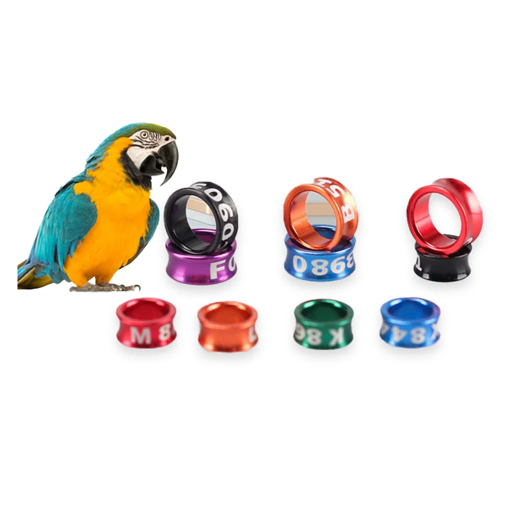 Wholesale 2023 new cheap customize colorful Aluminum parrot bird Pigeon foot leg rings