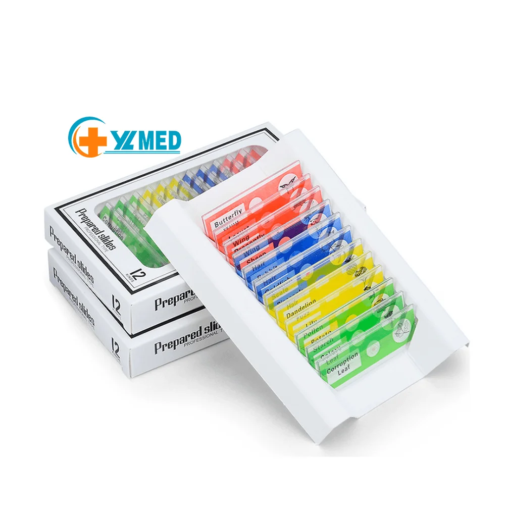Medicine 48pcs Plastic microscope Animal Insect Plant flower slide teaching resource for children