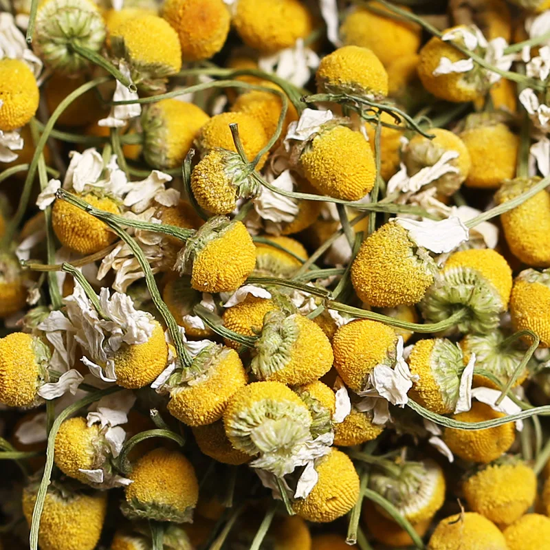 wholesale pure natural health herb blooming dried flowers for tea