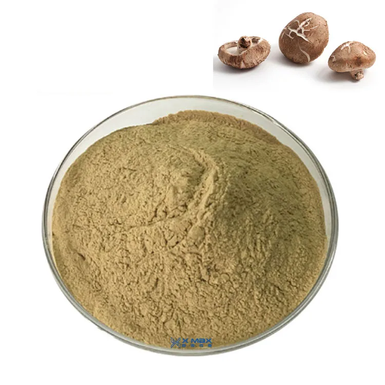 
Wholesale Dried Shiitake Mushroom Extract Powder 