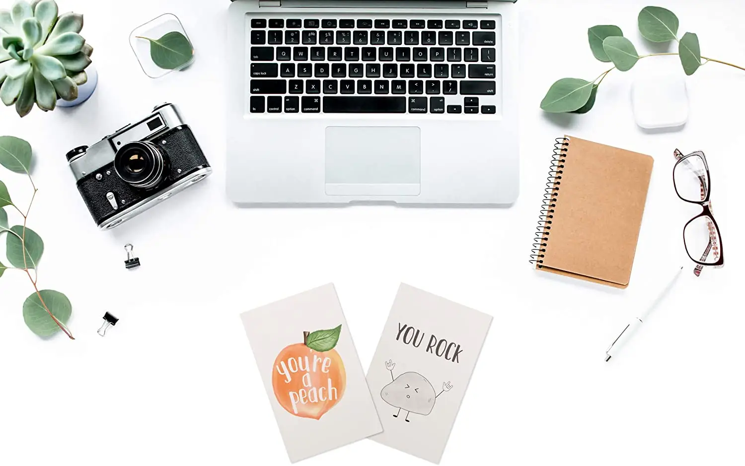 40 Funny Notecards 4 x 6 in Pun Greeting Note Cards Envelopes and Stickers Bulk Boxed Set Assortment of Funny Thank You Cards