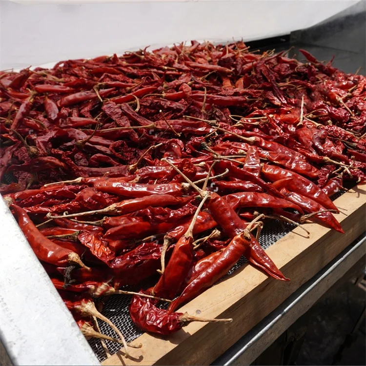 Food Drying tray sun solar dry solar greenhouse dryers for coffee