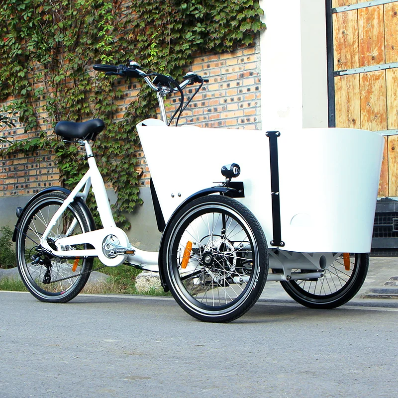 battery assist 3 wheel bike adult electric motor bicycle best electric cargo bike for sale