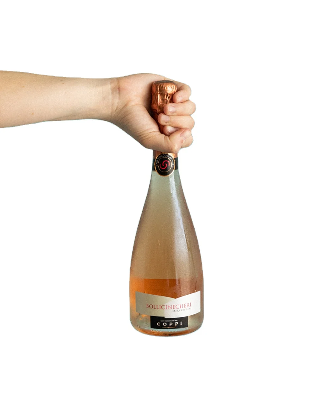 Пуля итальянские вина-итальянское вино пуля Апулия