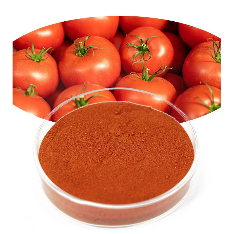 High quality various models  tomato concentrate powder for baked food