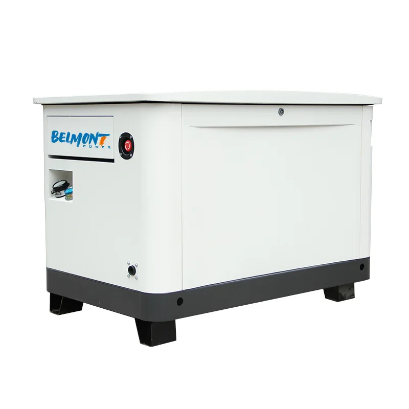 7kw 8kw 14kw 15kw 17.5kv 20kw 22kw 23kw Air Cooled LPG Home Natural lpg generator 10kw Gas Generator for Whole House