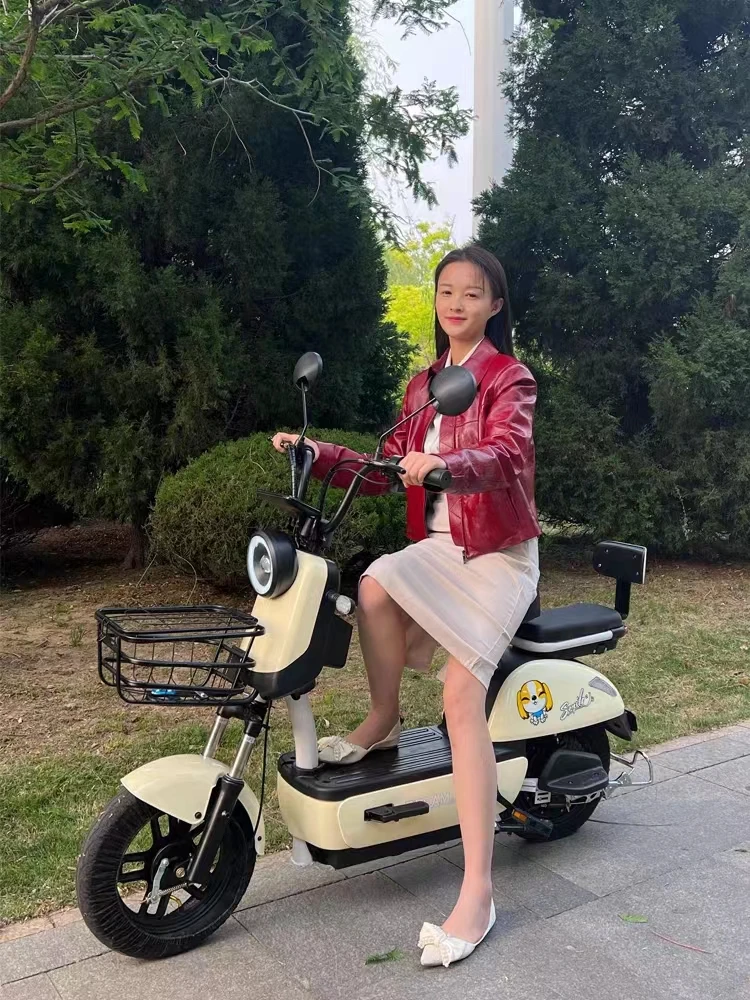 Hot Selling Ckd Electric Bicycle 14*2.5inch Vacuum Tyre Single Speed Scooter City Electric Bike