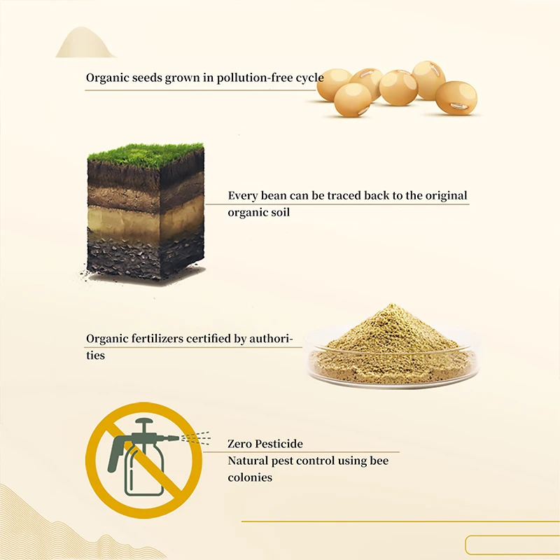 Master Organic Brewed Light Soya Sauce Factory Wholesale Chinese Seasoning Cooking Soy Sauce