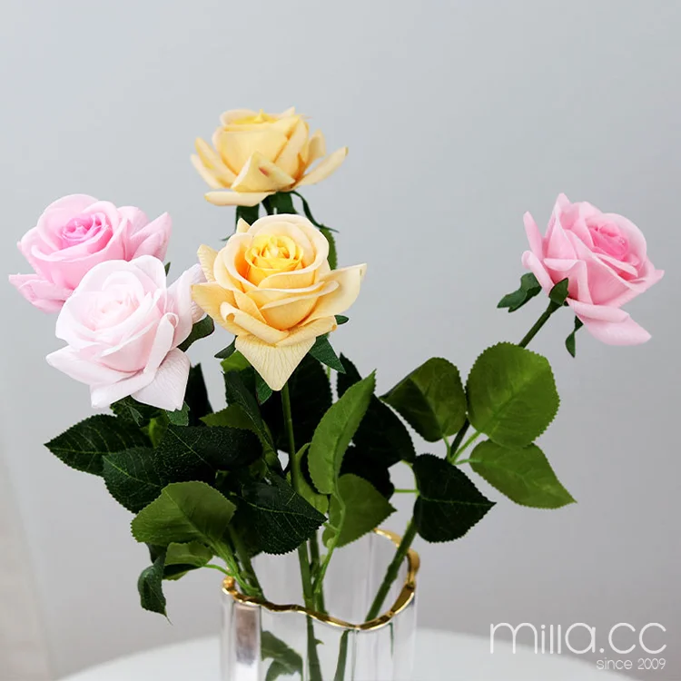 single rose flowers.png
