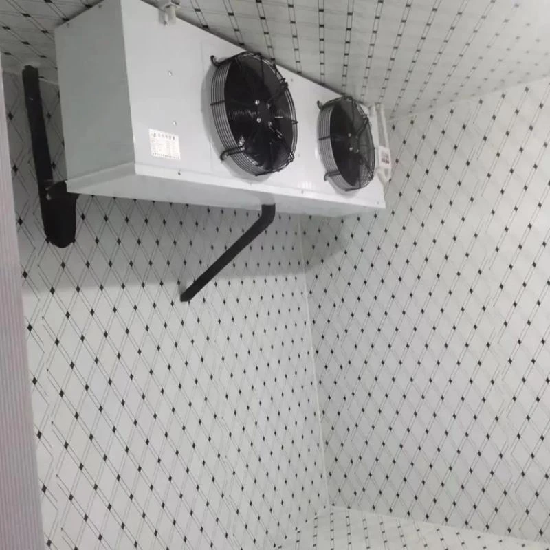 Walk-In Chamber Industrial Refrigeration Cold Storage Freezer Cold Room Price