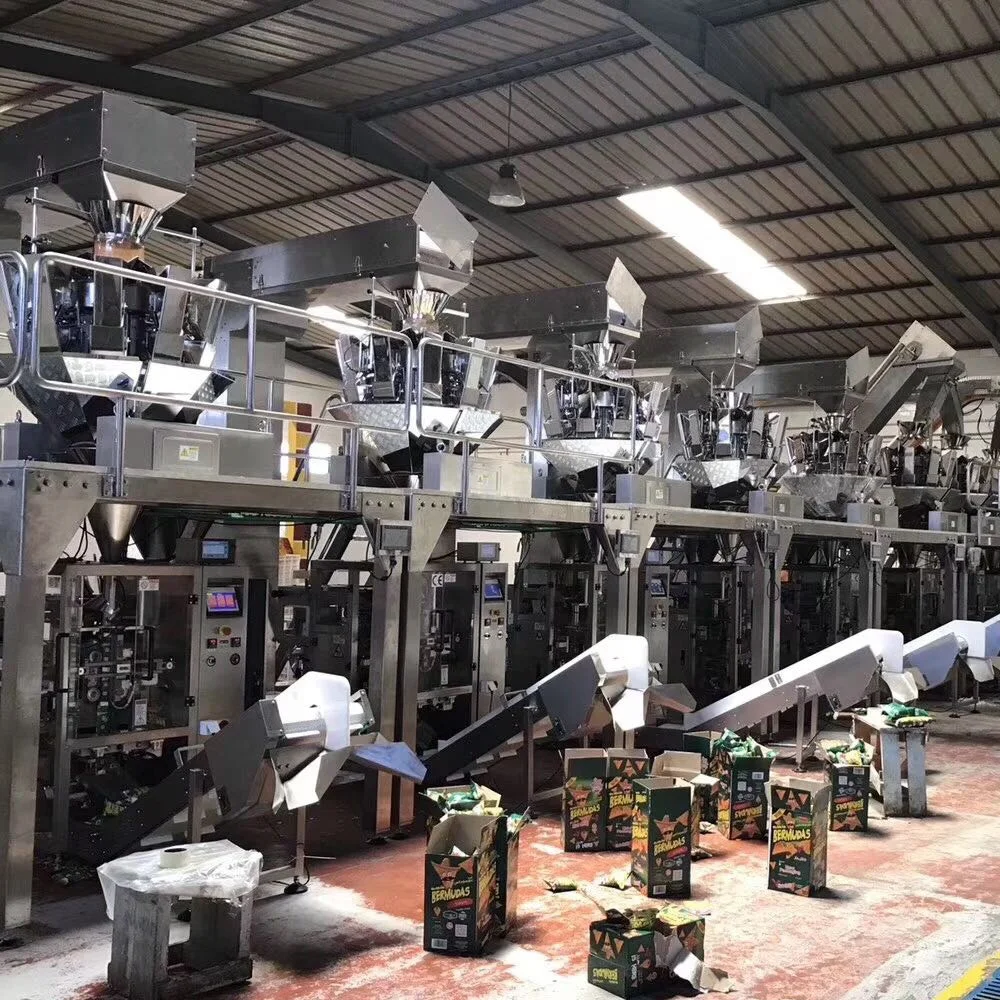 JINTIAN PACK CE 60 bags nuts sunflower melon seeds snack automatic packing machine
