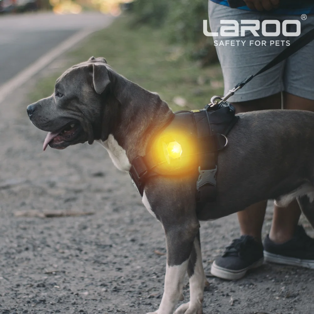 LaRoo High Quality best Price Usb Rechargeable Light Up Flashing Glowing Adjustable Led Pet Dog Collar