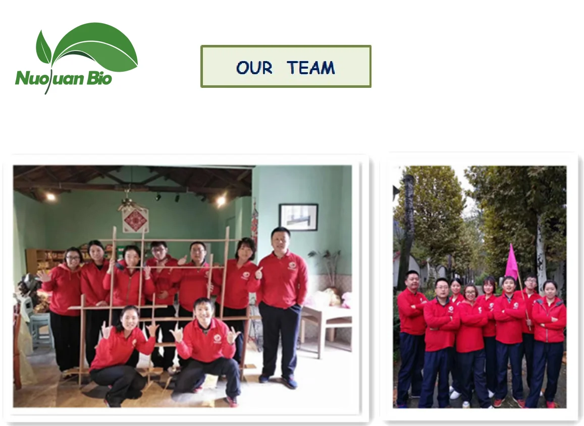 Nuoyuan High quality free sample hot selling  potassium sorbate with best price