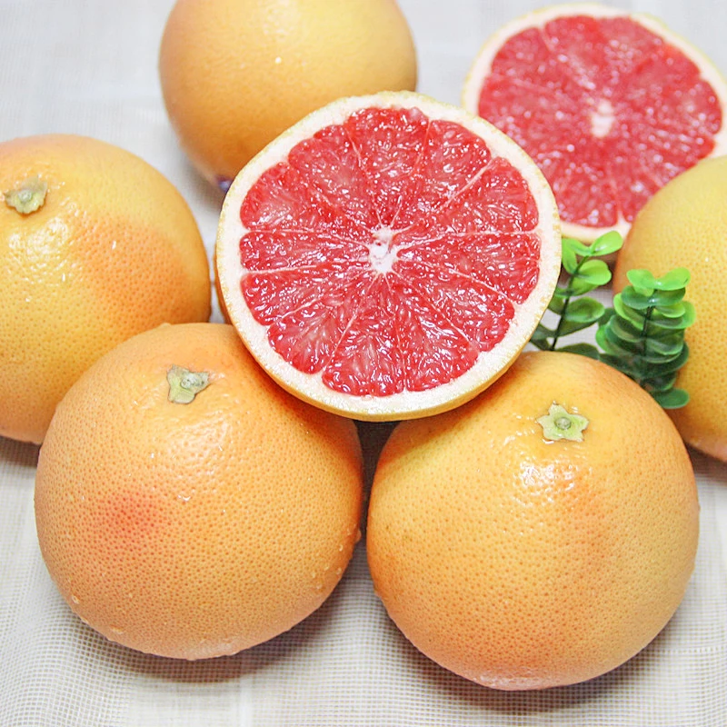 Low price orange mandarin navel citrus sweet grapefruit photos