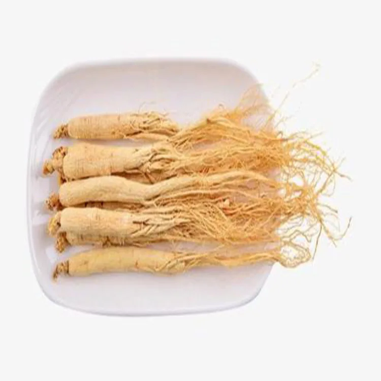 Factory Supply Top Quality Korean Red Ginseng Extract Korean Red Ginseng Extract Powder Herbal Powder Red Ginseng Extract