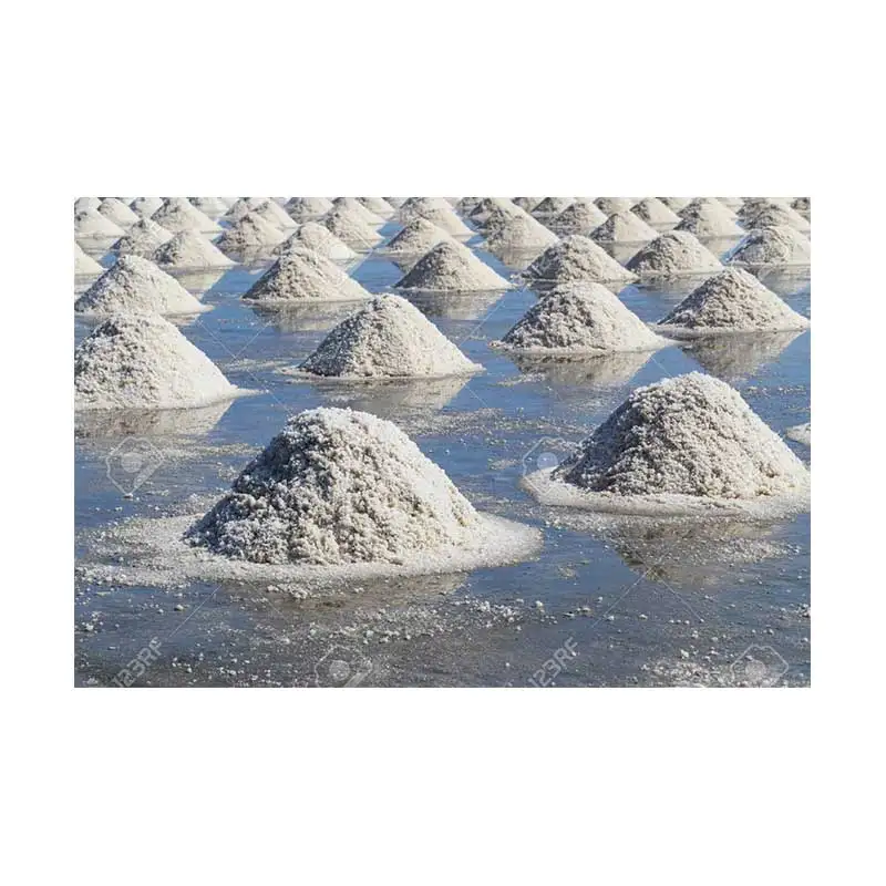 Egyptian Natural price of bulk salt sea