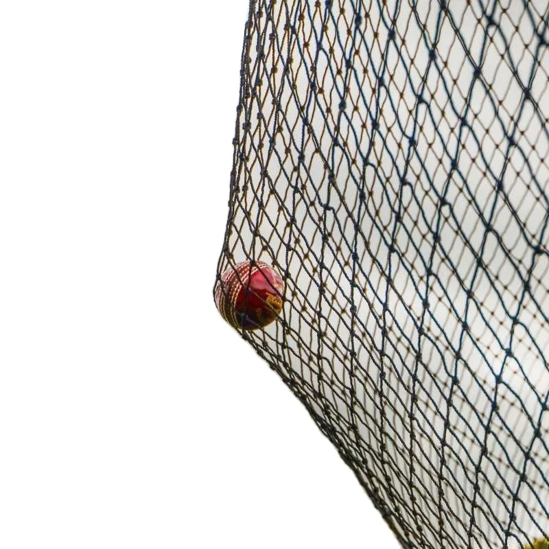 Factory Cricket Nets Practice 30-45days 3mm/4mm/5mm Qingdao Port CN;SHN Square UV -stablilzed PP/PE Customer Demands