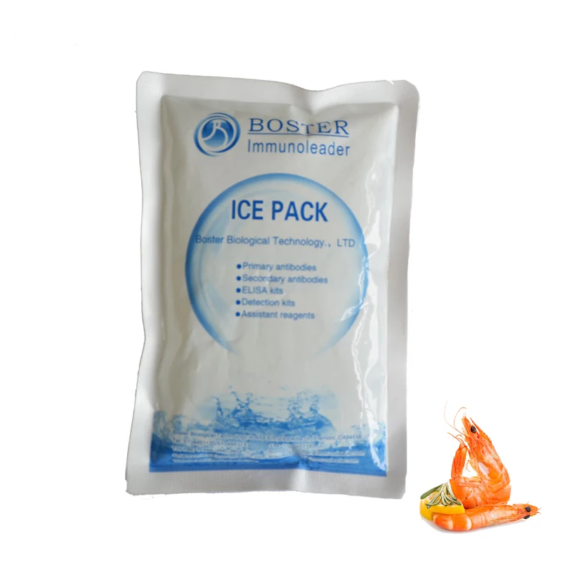  Refrigerated Ice Bag Cooling Express Water Injection Free Biological Fruit Transport Seafood Air Cold
