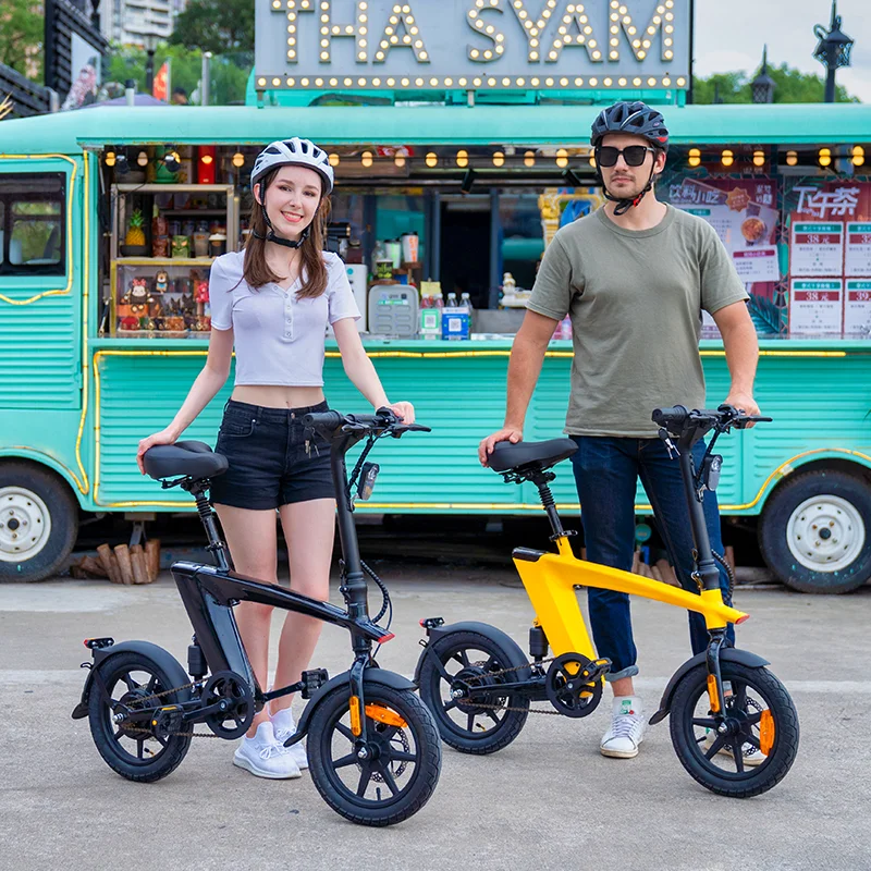 Mini-Electronic Bicycle Flying Fish Battery10Ah 2 Wheeler Electric Bike