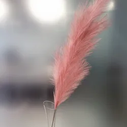 Сухие искусственные цветы, перья, пампасная трава, искусственные цветы, оптовая продажа цветов