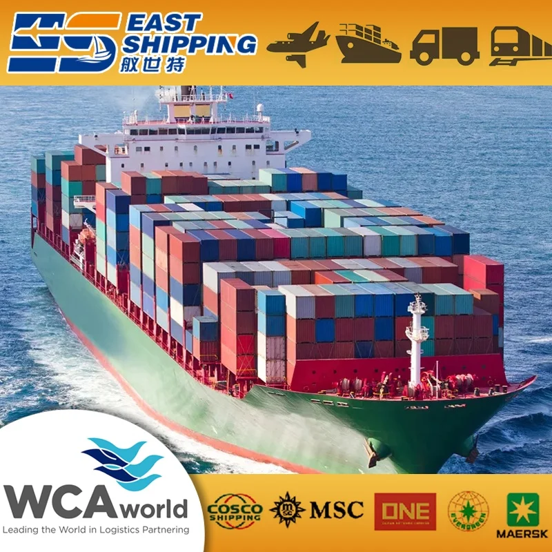 Transitario Agencia de transporte Agente de Carga Promotor Colombia South America Logistic Agent Freight Forwarder DDP