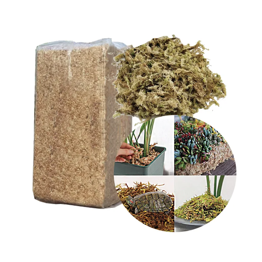 wholesale real natural dried dry sphagnum moss peat moss for plants long fiber sphagnum moss new zealand bulk orchid 10kg
