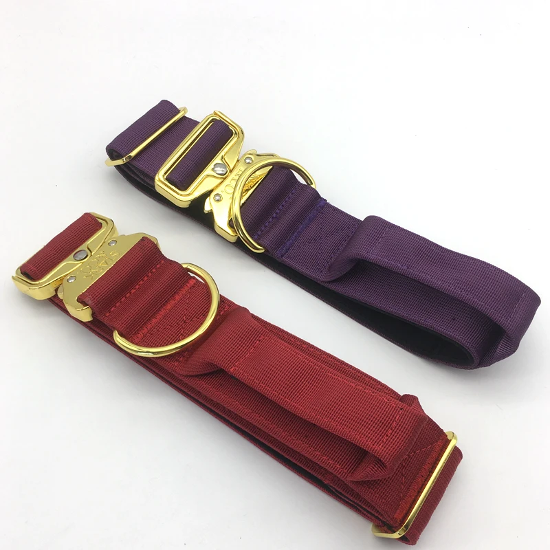 Customized Nylon Webbing Waterproof Dog Collar Light and Cute High End Dog Collar