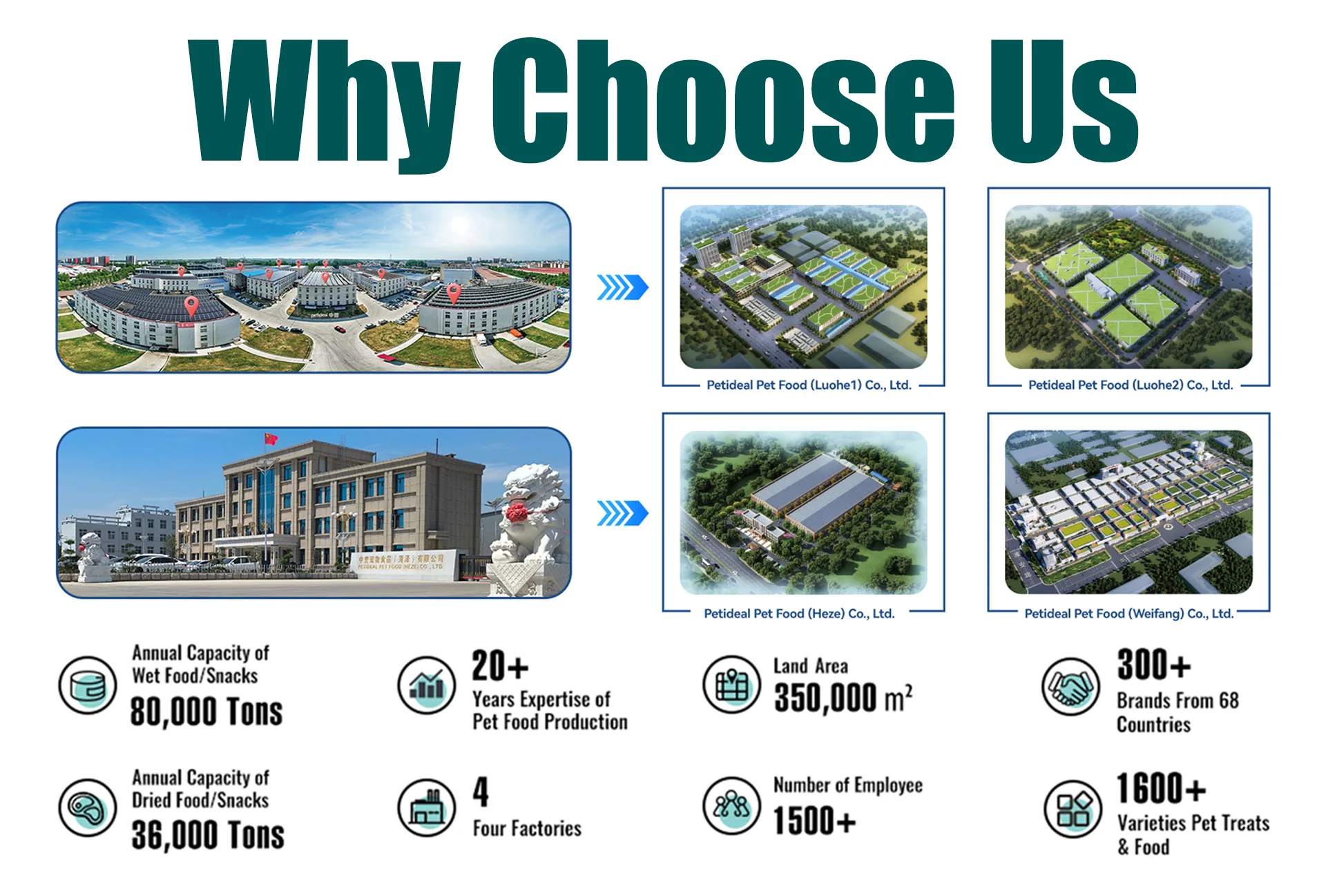 Cat Soup Cat Wet Food Chicken Gravy Pouch Dog Canned Food Stock