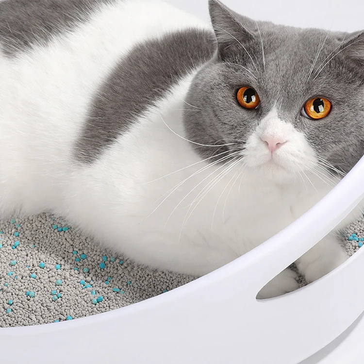 Best clean premium clumping factory suppliers wholesale colorful bentonite cat litter sand with scent