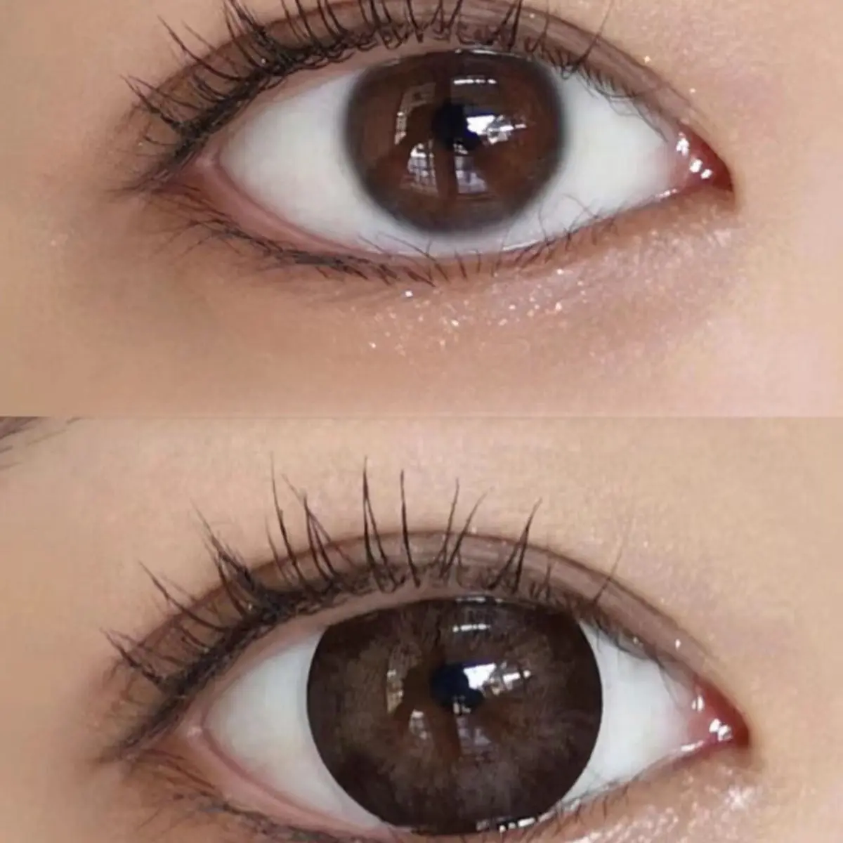 eyewear  coco milk  color contact lens  wholesale colored contact lenses big eye nature  lentes de contacto big size 14.5 mm