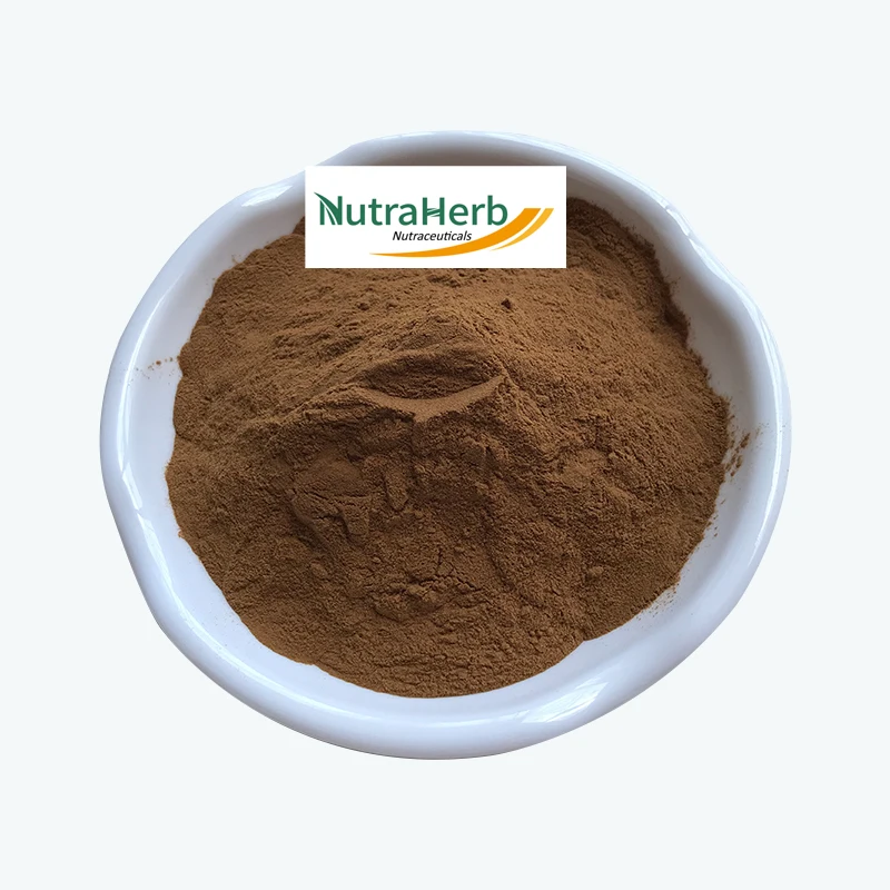 Factory Wholesale Sennoside 8% 10% 20% Senna Leaf Extract