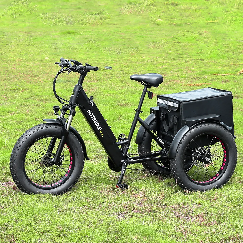 tricycles 3 wheel electric 20*4.0 inch Fat tire electric tricycle car 36V350W rear hub motor 3wheel electric tricycle motorcycle