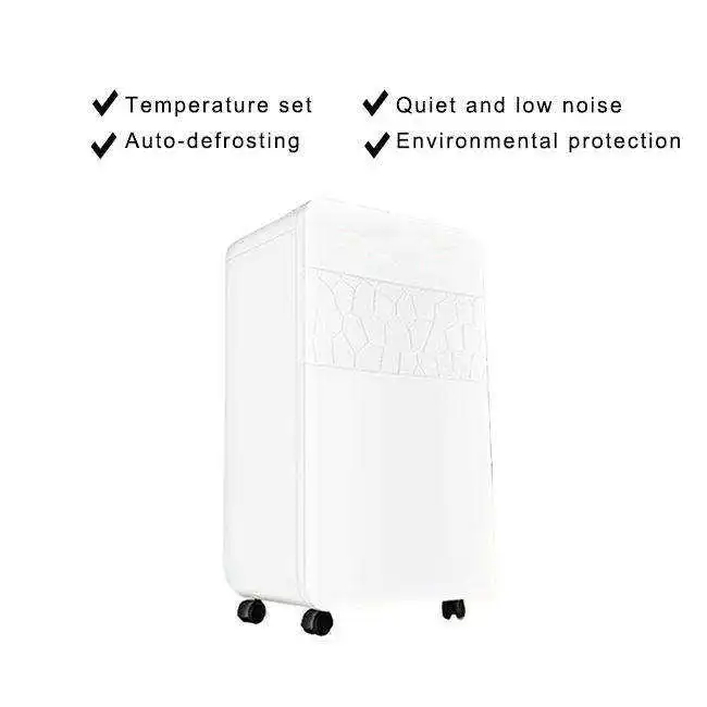 Portable Mini Factory Price Air Purifier Quite Basement Household Home Dehumidifier
