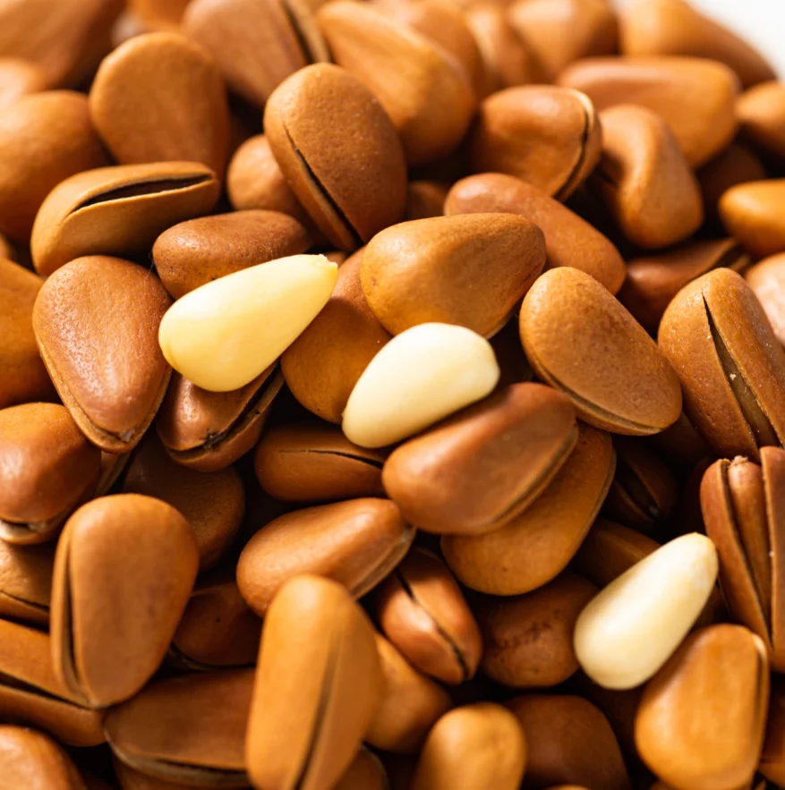 
Pure Natural Rich Healthy Nutrition Green Food Organic Edible Pine Nuts For Sale 