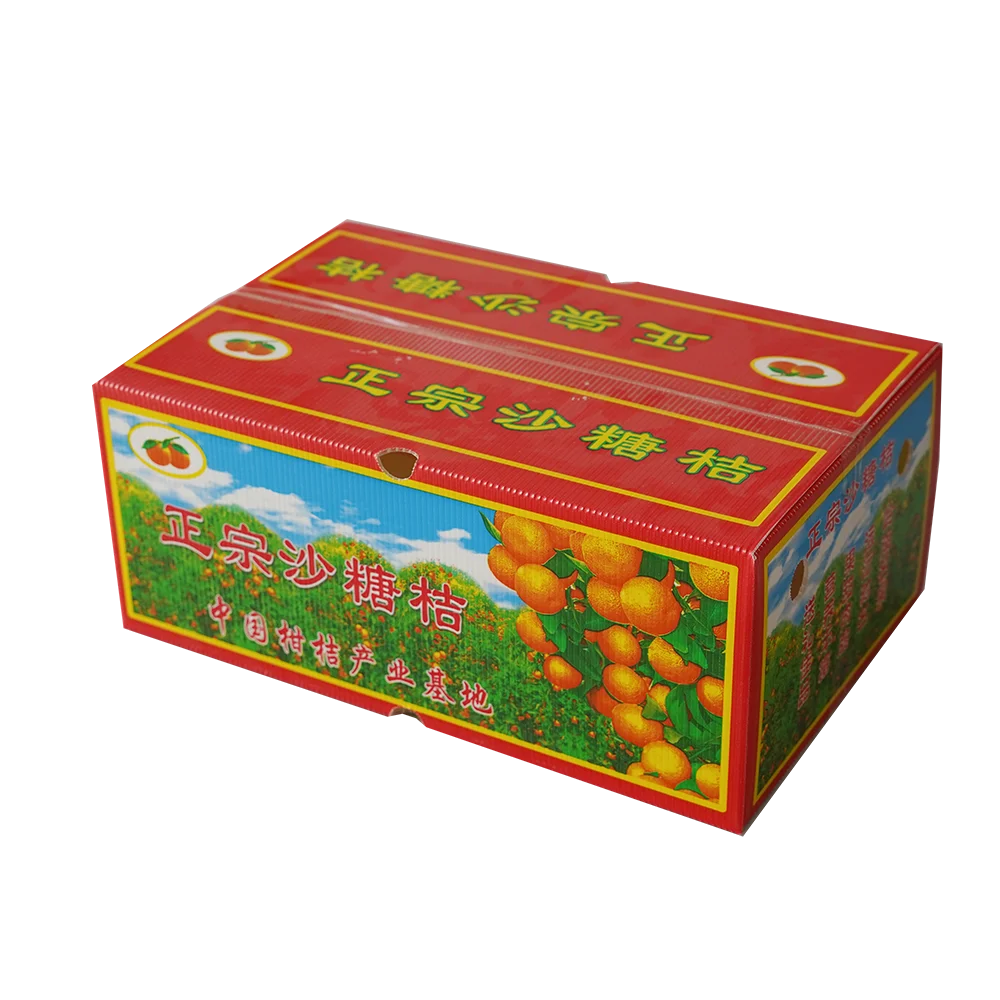 Custom Logo Printing Corrugated PP Hollow Packing Cardboard Egg Fruit Vegetable Packaging Boxes for Shipping